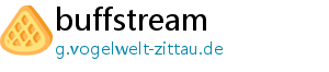 buffstream