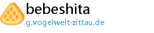 bebeshita