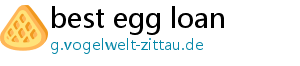 best egg loan