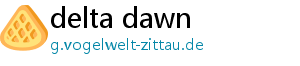 delta dawn