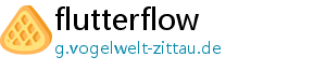 flutterflow