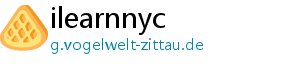 ilearnnyc