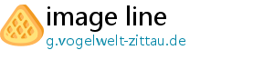 image line