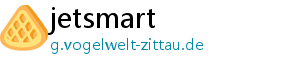 jetsmart