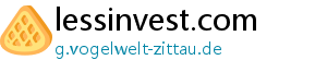 lessinvest.com