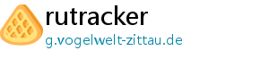 rutracker