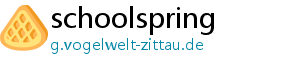 schoolspring