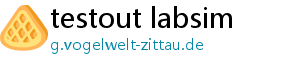 testout labsim