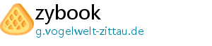 zybook